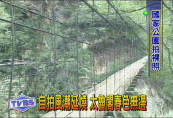 自拍風潮延燒 太魯閣春色無邊