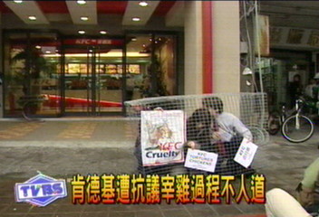 殺雞不人道？肯德基遭抗議