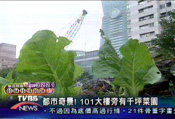 都市奇景!101大樓旁有千坪菜園