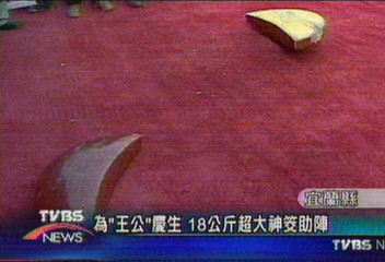 為「王公」慶生　18公斤超大神筊助陣
