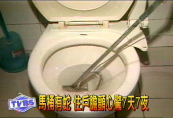 馬桶有蛇 住戶膽戰心驚7天7夜