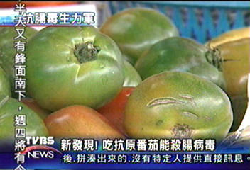 新發現 吃抗原番茄能殺腸病毒
