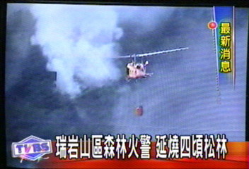 瑞岩山區森林火警 延燒4頃松林