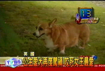 英女王愛犬　遭安妮公主飼犬咬死