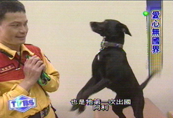 赴伊朗賑災　搜救犬「阿利」首度出國