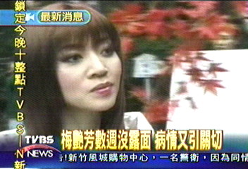 梅艷芳數週沒露面 病情又引關切