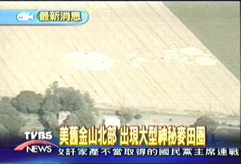 美舊金山北部　出現大型神秘麥田圈