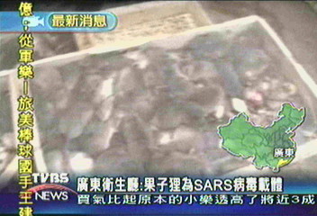 廣東羅姓男子檢體反覆 終確認染煞