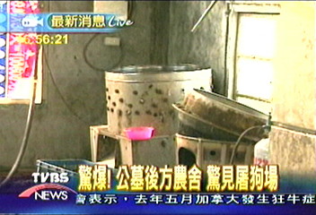 驚爆屠狗場　暗藏公墓　賣狗肉牟利