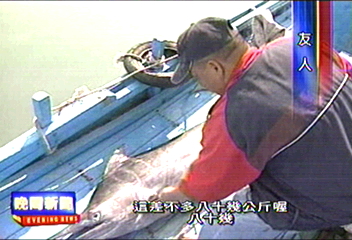「老人與海」悲劇版　老船長力竭身亡