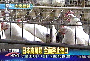 日本禽鳥類 全面禁止進口