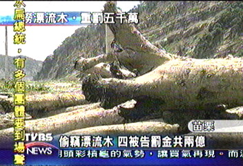 偷竊漂流木　4被告罰金共2億