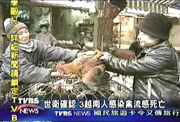 世衛確認 3越南人感染禽流感死亡