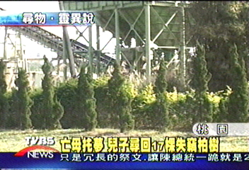亡母扥夢　兒子尋回失竊柏樹