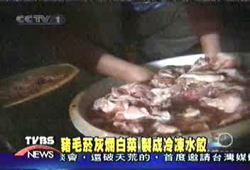 豬毛菸灰爛白菜 製成冷凍水餃