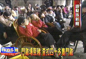 鬥雞場聚賭　查扣四十多隻鬥雞