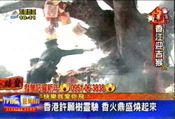 香港許願樹靈驗　香火鼎盛燒起來