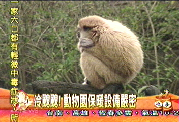冷颼颼 動物園保暖設備嚴密