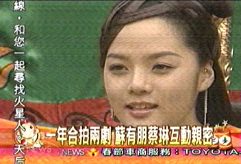 1年合拍2劇 蘇有朋蔡琳互動親密