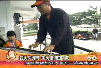 對乳牛彈琴 牛乳量增加1成