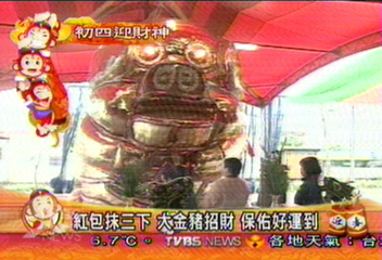 礁溪招財大金豬 另類財神爺