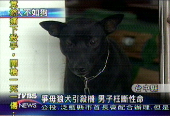 爭母狼犬引殺機　男子枉斷性命