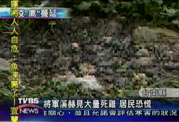 將軍溪赫見大量死雞 居民恐慌