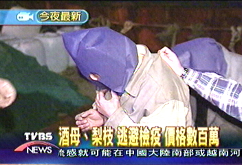 兩岸合作　破大陸鐵殼船走私農產品