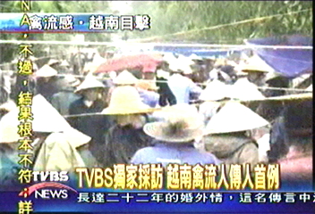 TVBS獨家採訪　越南禽流人傳人首例