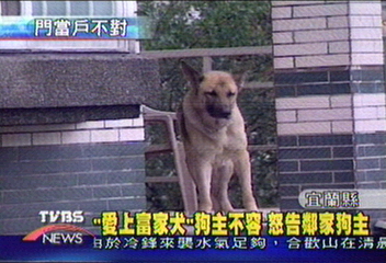 「愛上富家犬」　狗主不容　扣留黑狗