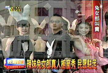 辣妹兔女郎真人櫥窗秀 民眾駐足
