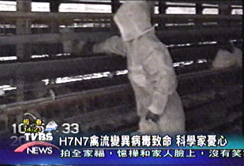 H7N7禽流變異病毒致命 科學家憂心