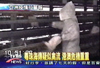 粵珠海傳疑似禽流 港澳危機重重