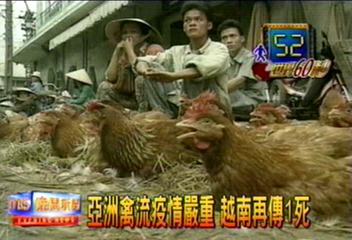 越南禽流感再奪一 疫情嚴重