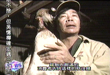 肉販搶購　台東放山雞銷路漲2成