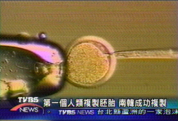 第一個人類複製胚胎　南韓成功複製