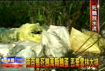 兩百隻死鵝萬顆鵝蛋　丟棄雲林大排