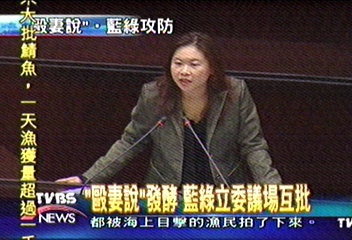 「毆妻說」發酵 藍綠立委議場互批