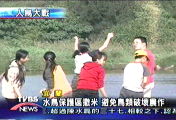 水鳥保護區撒米　避免鳥類破壞農作