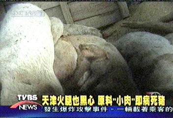 天津火腿也黑心　原料「小肉」即病死豬