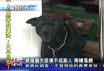 抓母狼犬抵債不成殺人　2嫌落網