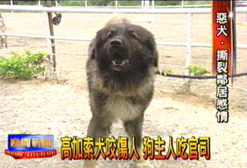 高加索犬咬傷人　狗主人吃官司