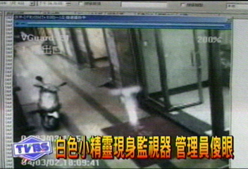 白色小精靈現身監視器　管理員傻眼
