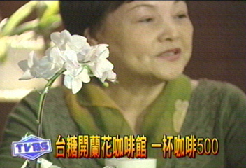 台糖開蘭花咖啡館 一杯咖啡500