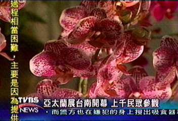 亞太蘭展台南開幕 上千民眾參觀