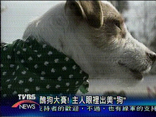 醜狗大賽！　主人眼裡出美狗