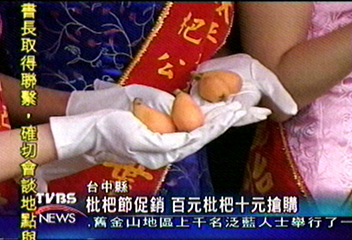 枇杷節促銷　百元枇杷十元搶購