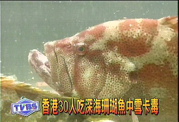 30人吃深海珊瑚魚中雪卡毒
