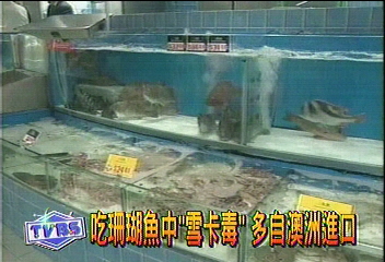 吃珊瑚魚中雪卡毒　多自澳洲進口