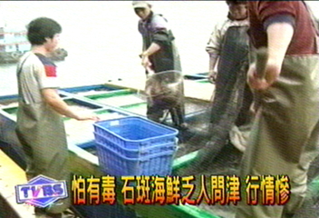 香港再傳　民眾吃石斑魚中毒事件